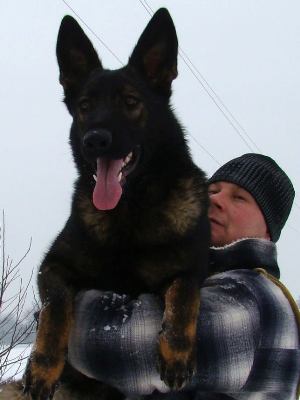 Kayra